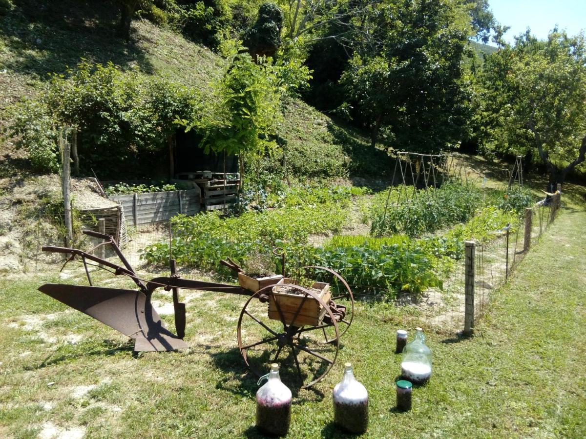 Bed & Breakfast Sentiero 54 Cantiano Экстерьер фото
