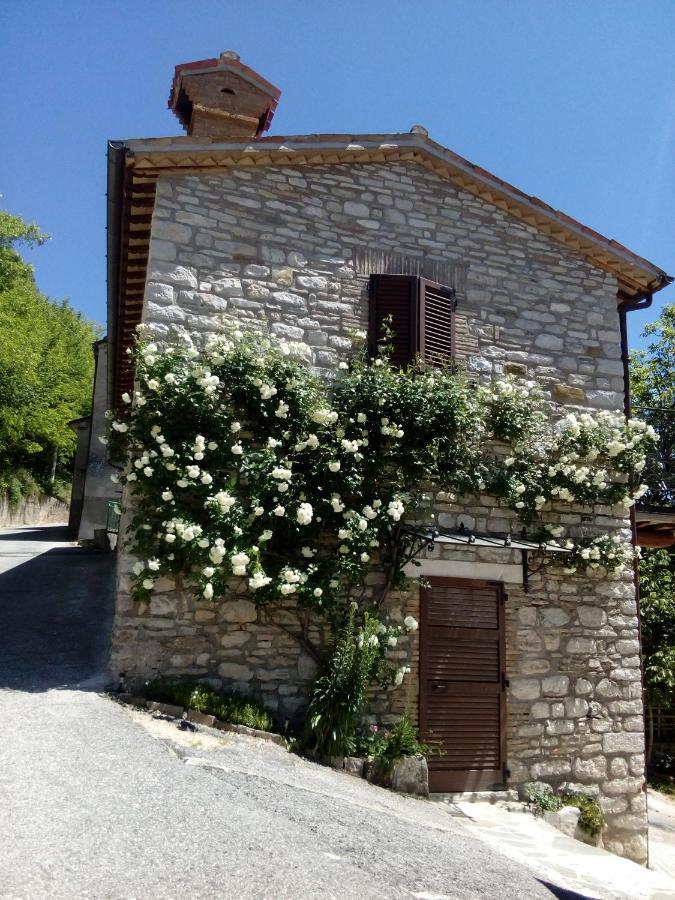 Bed & Breakfast Sentiero 54 Cantiano Экстерьер фото