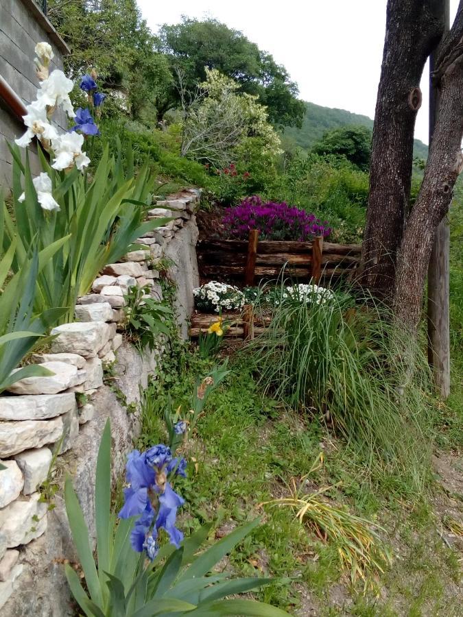 Bed & Breakfast Sentiero 54 Cantiano Экстерьер фото