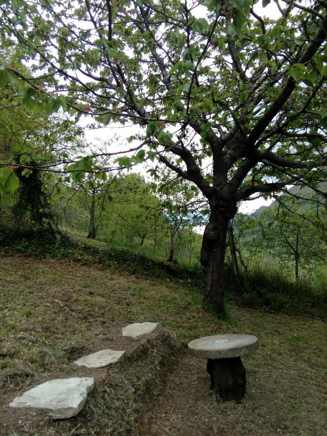 Bed & Breakfast Sentiero 54 Cantiano Экстерьер фото
